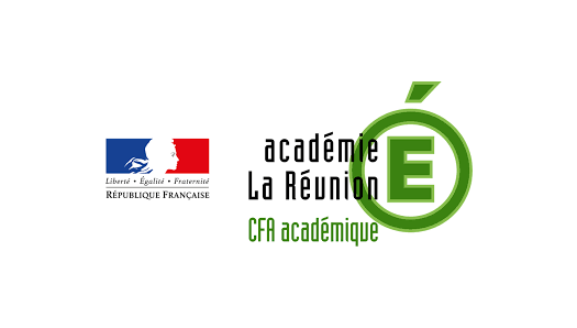 RECTORAT de la Réunion – DANE